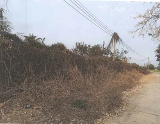 รูปทรัพย์ 3