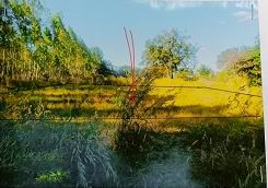 รูปทรัพย์ 2