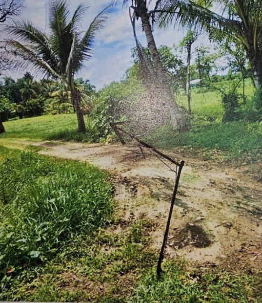 ขายทอดตลาด ที่ดินว่างเปล่า ต.โพธิ์ใหญ่ อ.วารินชำราบ จ.อุบลราชธานี
