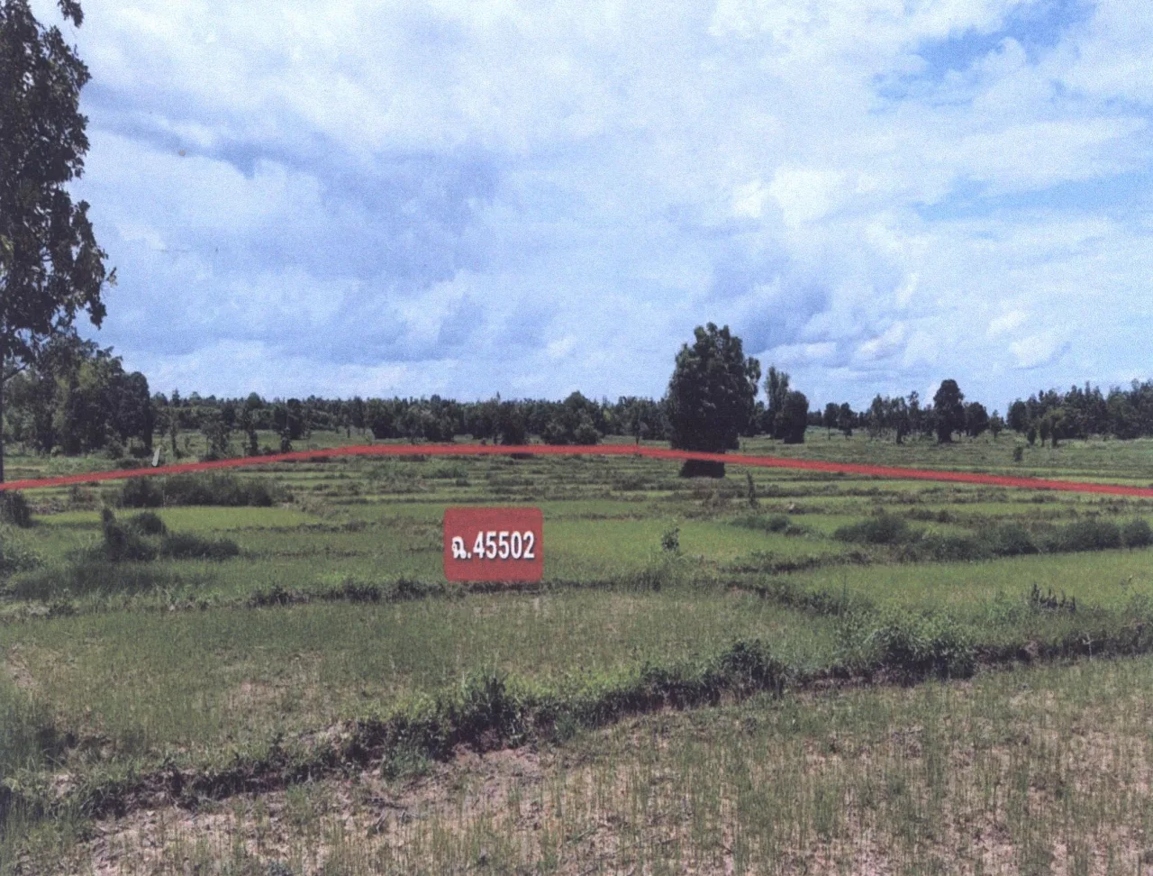 ขายทอดตลาด ที่ดินว่างเปล่า ต.เชียงหวาง อ.เพ็ญ จ.อุดรธานี