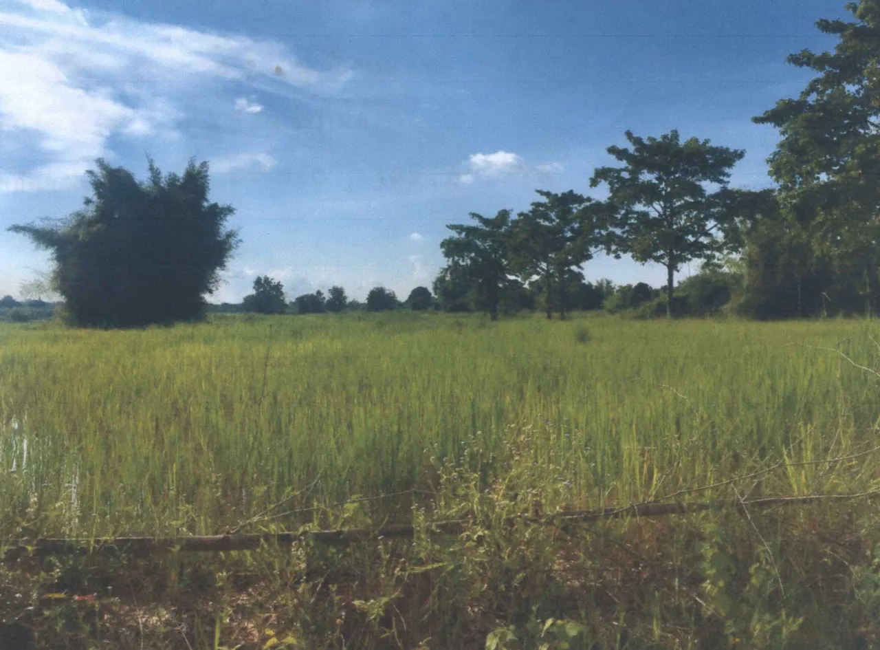 ขายทอดตลาด ที่ดินว่างเปล่า ต.บ้านแดง อ.ตระการพืชผล จ.อุบลราชธานี