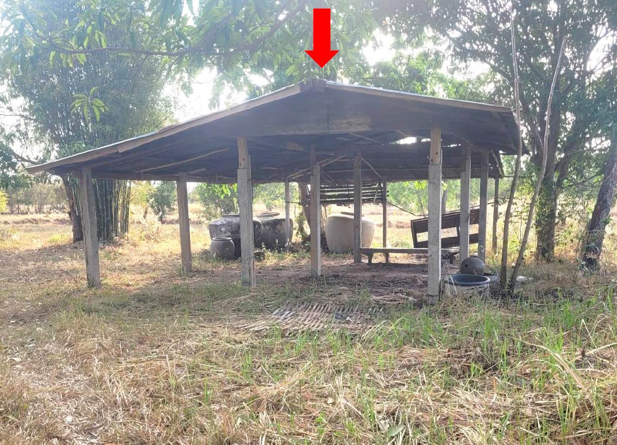 ขายทอดตลาด ที่ดินพร้อมสิ่งปลูกสร้าง ต.ยางโยภาพ อ.ม่วงสามสิบ จ.อุบลราชธานี
