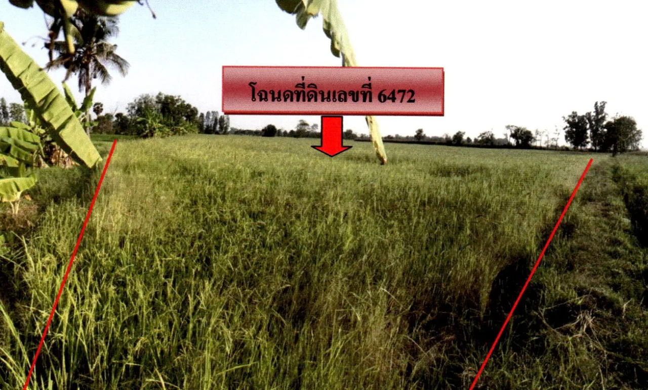 ขายทอดตลาด ที่ดินว่างเปล่า ต.ไร่อ้อย อ.พิชัย จ.อุตรดิตถ์