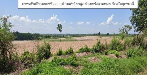 ขายทอดตลาด ที่ดินว่างเปล่า ต.คำโคกสูง อ.วังสามหมอ จ.อุดรธานี