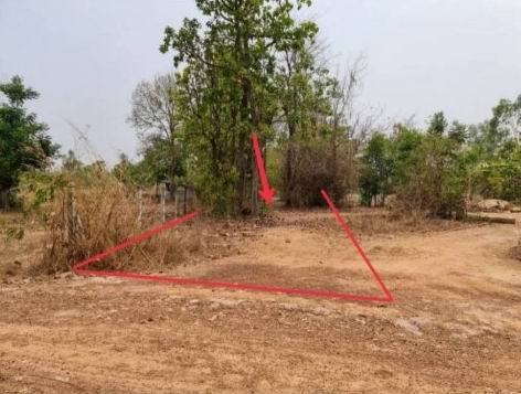ขายทอดตลาด ที่ดินว่างเปล่า ต.นากว้าง อ.เมืองอุดรธานี จ.อุดรธานี