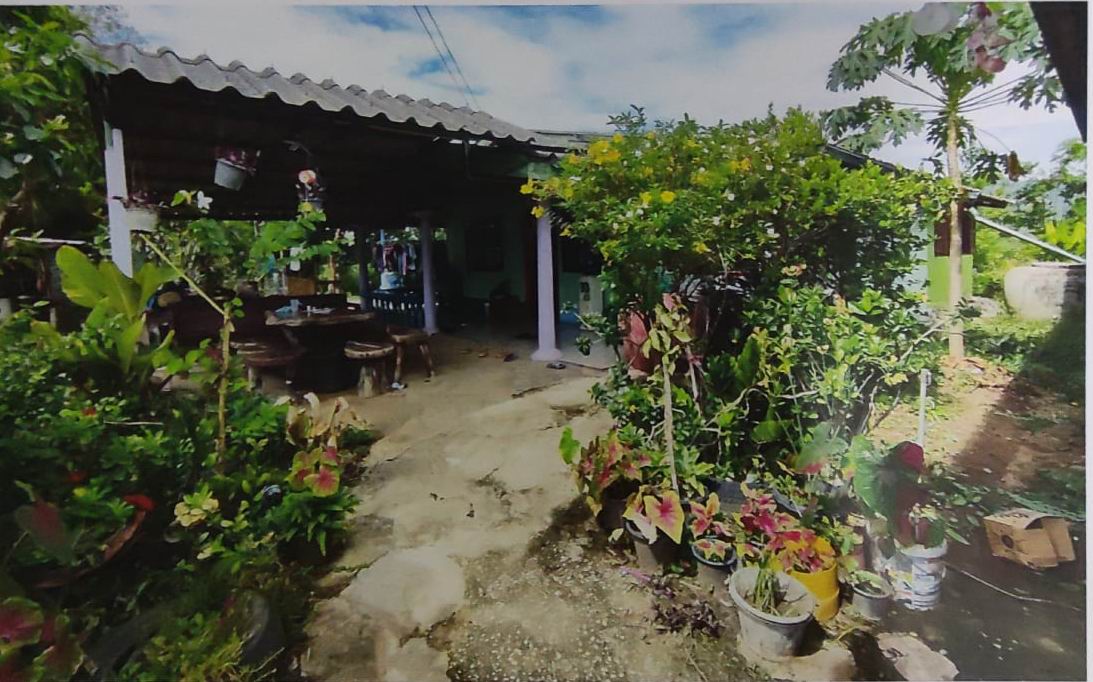 ขายทอดตลาด ที่ดินพร้อมสิ่งปลูกสร้าง ต.หูช้าง อ.บ้านไร่ จ.อุทัยธานี