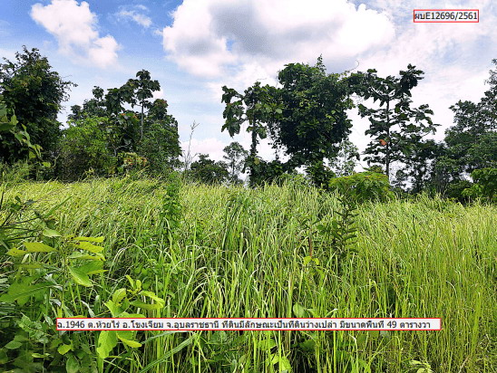 ขายทอดตลาด ที่ดินว่างเปล่า ต.ห้วยไผ่ อ.โขงเจียม จ.อุบลราชธานี
