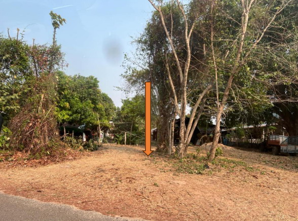 ขายทอดตลาด ที่ดินว่างเปล่า ต.กลางใหญ่ อ.เขื่องใน จ.อุบลราชธานี