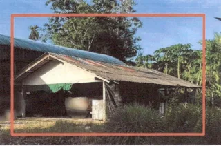 รูปทรัพย์ 2