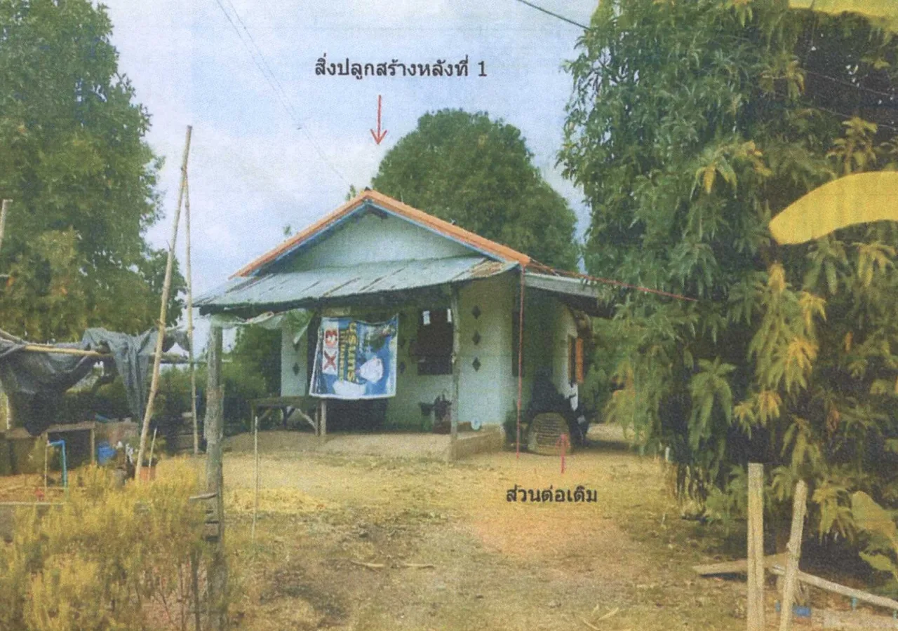 ขายทอดตลาด ที่ดินพร้อมสิ่งปลูกสร้าง ต.ท่ามะเฟือง อ.พิชัย จ.อุตรดิตถ์