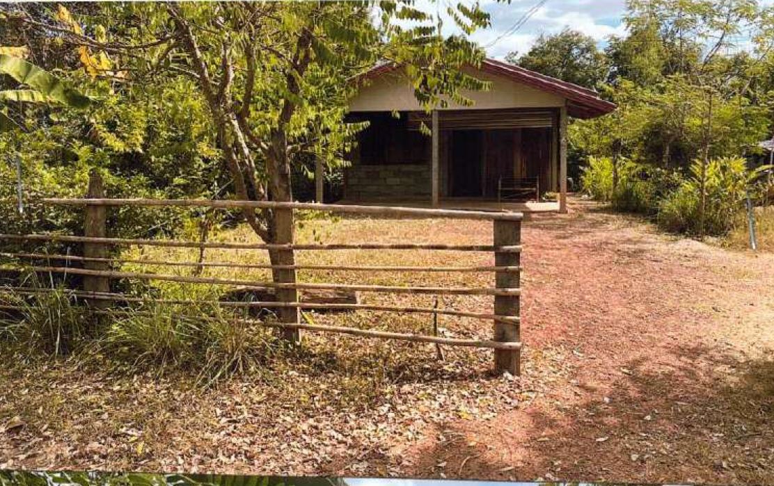 ขายทอดตลาด ที่ดินพร้อมสิ่งปลูกสร้าง ต.บ้านเชียง อ.หนองหาน จ.อุดรธานี