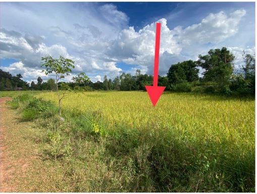 ขายทอดตลาด ที่ดินว่างเปล่า ต.แชแล อ.กุมภวาปี จ.อุดรธานี