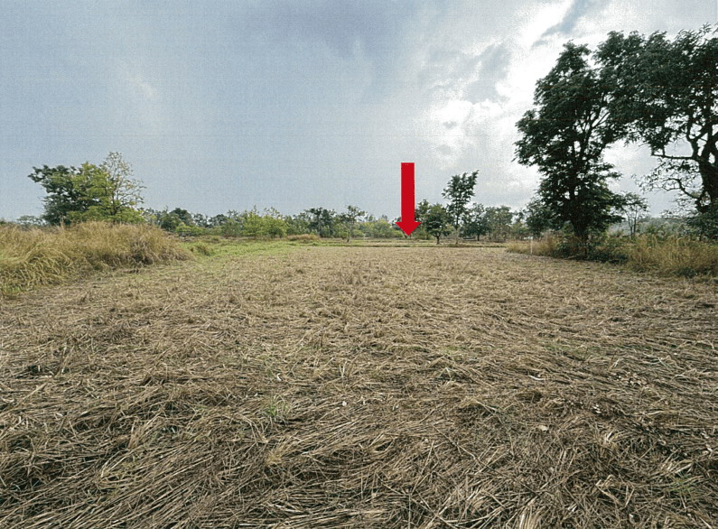 ขายทอดตลาด ที่ดินว่างเปล่า ต.เตย อ.ม่วงสามสิบ จ.อุบลราชธานี