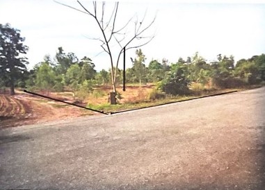 ขายทอดตลาด ที่ดินว่างเปล่า ต.ขุนฝาง อ.เมืองอุตรดิตถ์ จ.อุตรดิตถ์