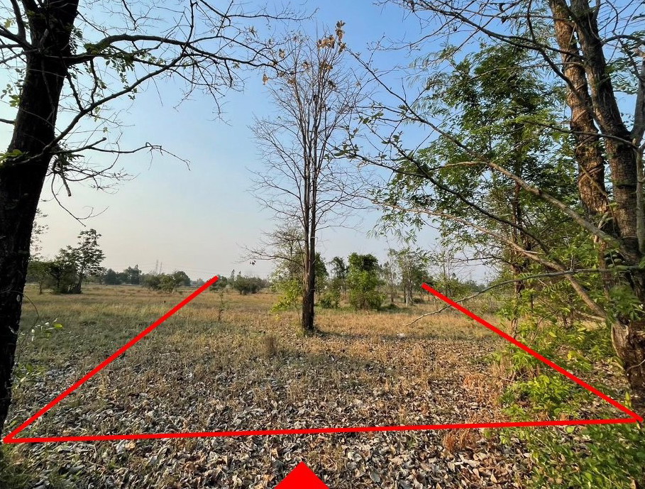 ขายทอดตลาด ที่ดินว่างเปล่า ต.บ้านหว้า อ.เมืองขอนแก่น จ.ขอนแก่น