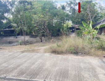 ขายทอดตลาด ที่ดินพร้อมสิ่งปลูกสร้าง ต.หนองกระทุ่ม อ.ทัพทัน จ.อุทัยธานี