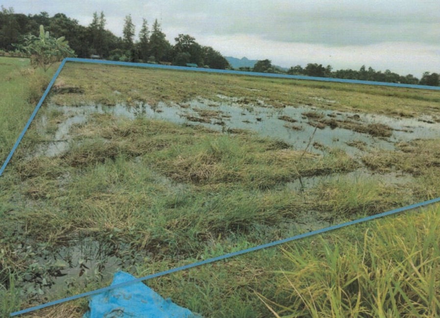 ขายทอดตลาด ที่ดินว่างเปล่า ต.เขาบางแกรก อ.หนองฉาง จ.อุทัยธานี