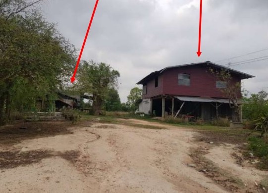 ขายทอดตลาด ที่ดินพร้อมสิ่งปลูกสร้าง ต.หนองกระทุ่ม อ.ทัพทัน จ.อุทัยธานี