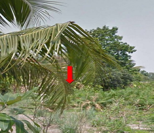 ขายทอดตลาด ที่ดินว่างเปล่า จ.ขอนแก่น