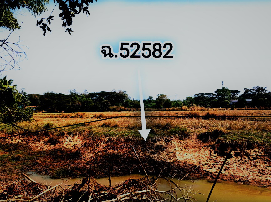 ขายทอดตลาด ที่ดินว่างเปล่า ต.ม่วงสามสิบ อ.ม่วงสามสิบ จ.อุบลราชธานี