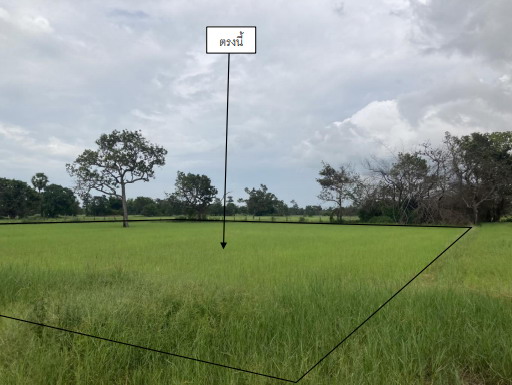 ขายทอดตลาด ที่ดินว่างเปล่า ต.ยางสักกระโพหลุ่ม อ.ม่วงสามสิบ จ.อุบลราชธานี