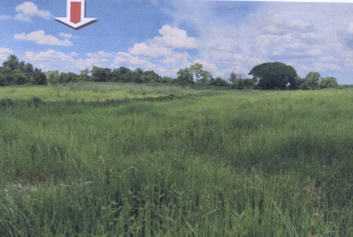 ขายทอดตลาด ที่ดินว่างเปล่า ต.บ้านธาตุ อ.เพ็ญ จ.อุดรธานี