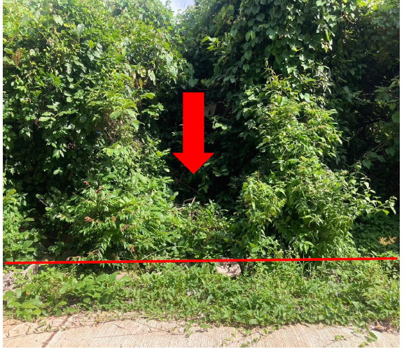 ขายทอดตลาด ที่ดินว่างเปล่า ต.ขามใหญ่ อ.เมืองอุบลราชธานี จ.อุบลราชธานี