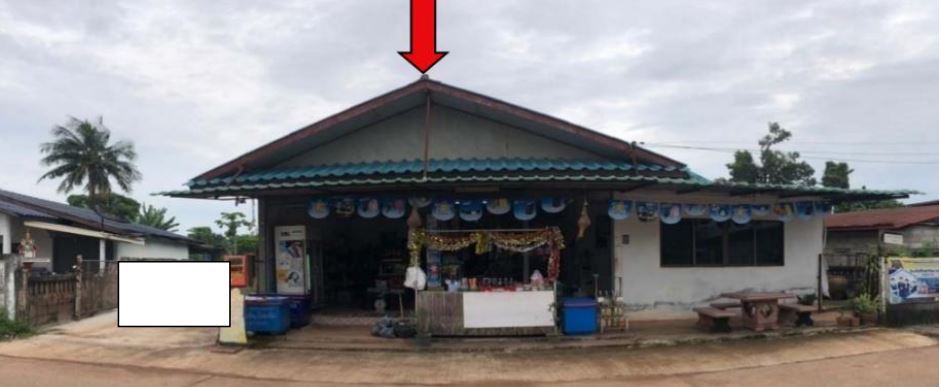 ขายทอดตลาด ที่ดินพร้อมสิ่งปลูกสร้าง ต.บ้านธาตุ อ.เพ็ญ จ.อุดรธานี