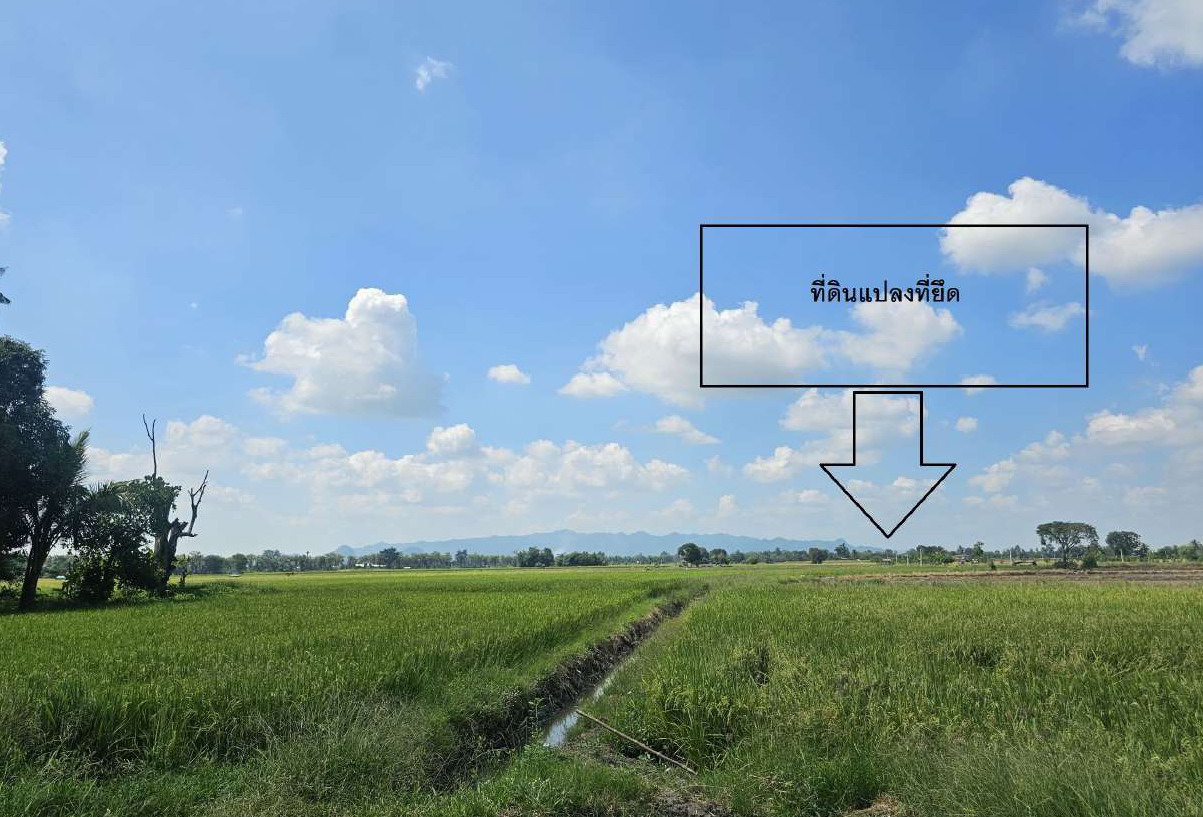 ขายทอดตลาด ที่ดินว่างเปล่า ต.ทุ่งโพ อ.หนองฉาง จ.อุทัยธานี