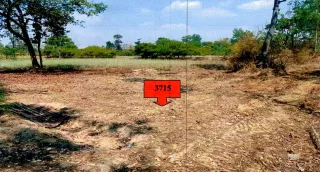 รูปทรัพย์ 2