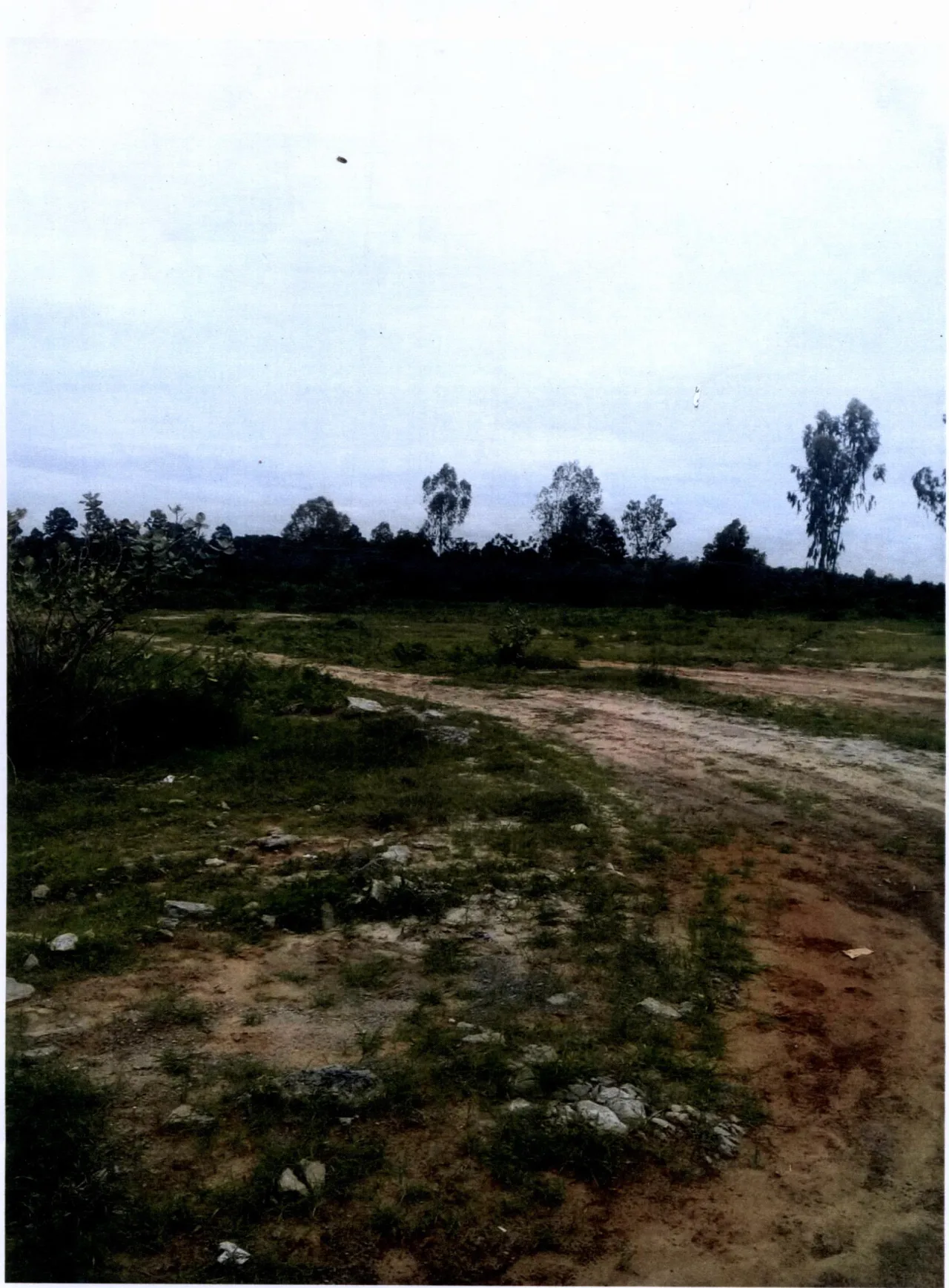 ขายทอดตลาด ที่ดินว่างเปล่า ต.ขามใหญ่ อ.เมืองอุบลราชธานี จ.อุบลราชธานี