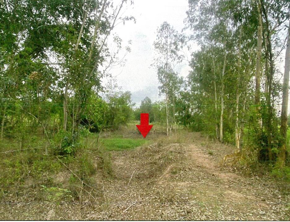 ขายทอดตลาด ที่ดินว่างเปล่า ต.น้ำซึม อ.เมืองอุทัยธานี จ.อุทัยธานี