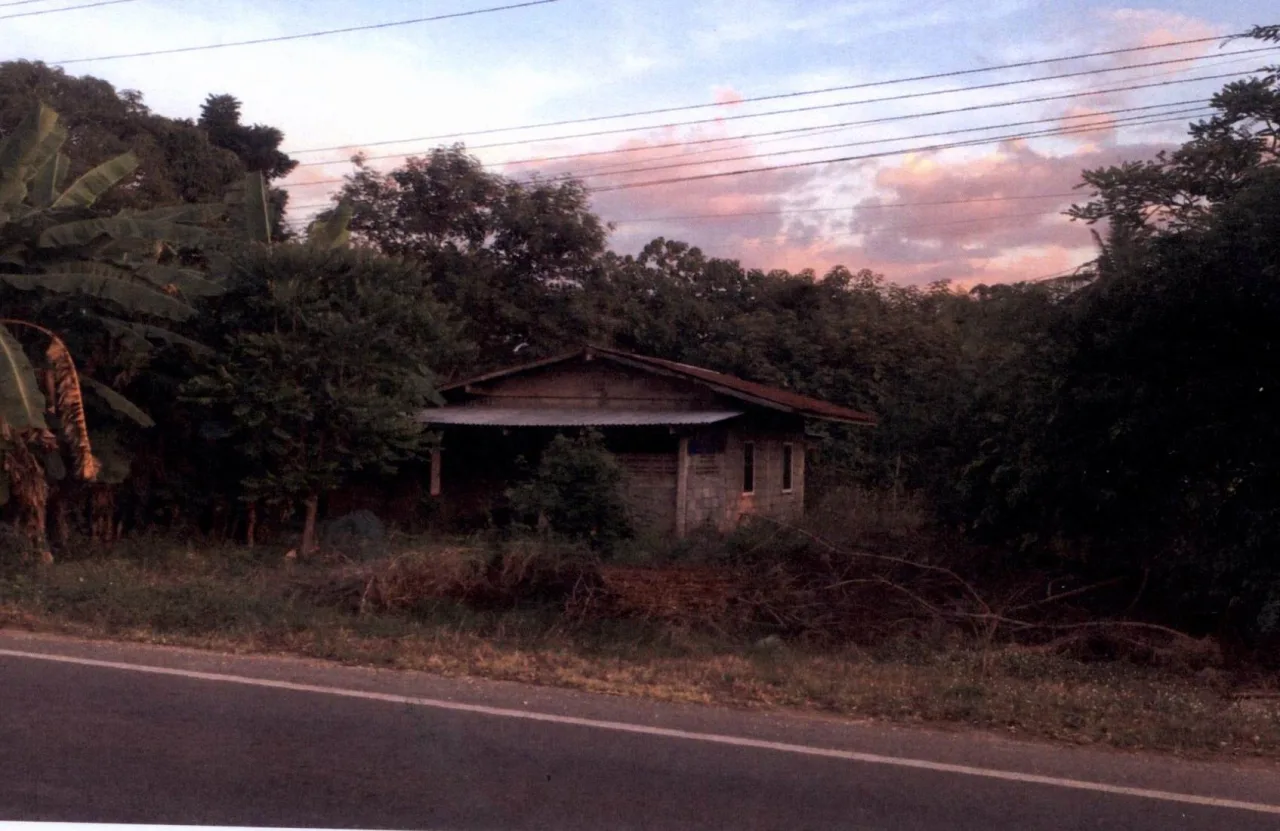 ขายทอดตลาด ที่ดินพร้อมสิ่งปลูกสร้าง ต.วังหิน อ.บ้านไร่ จ.อุทัยธานี