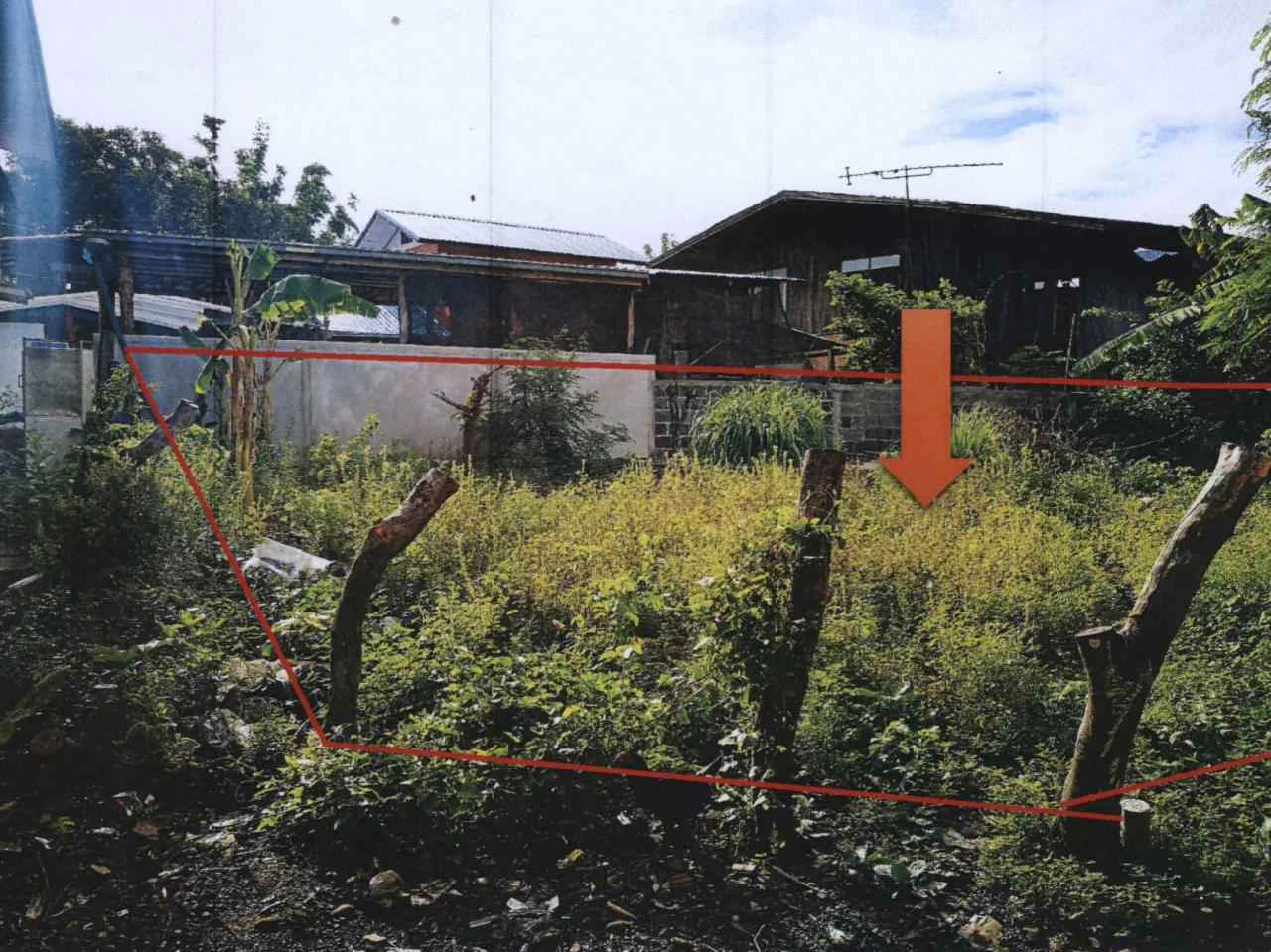 ขายทอดตลาด ที่ดินว่างเปล่า ต.ตระการ อ.ตระการพืชผล จ.อุบลราชธานี