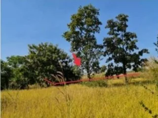 รูปทรัพย์ 3