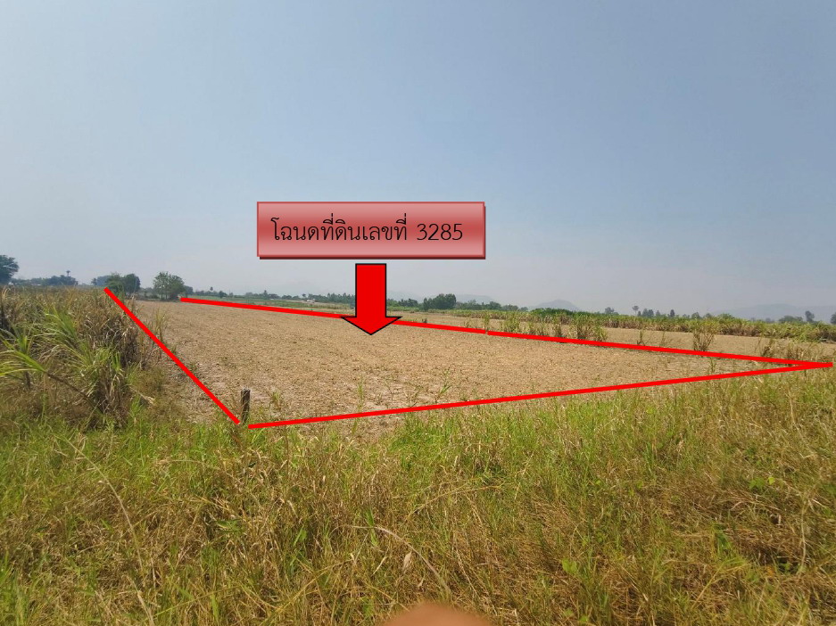 ขายทอดตลาด ที่ดินว่างเปล่า ต.เมืองการุ้ง อ.บ้านไร่ จ.อุทัยธานี