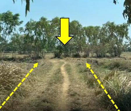 ขายทอดตลาด ที่ดินว่างเปล่า ต.ยางสักกระโพหลุ่ม อ.ม่วงสามสิบ จ.อุบลราชธานี