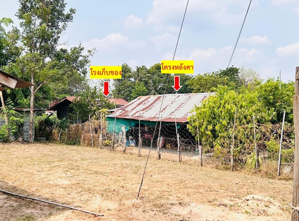 ขายทอดตลาด ที่ดินพร้อมสิ่งปลูกสร้าง ต.เตย อ.ม่วงสามสิบ จ.อุบลราชธานี