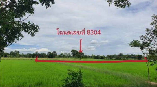 ขายทอดตลาด ที่ดินว่างเปล่า ต.หลุมเข้า อ.หนองขาหย่าง จ.อุทัยธานี