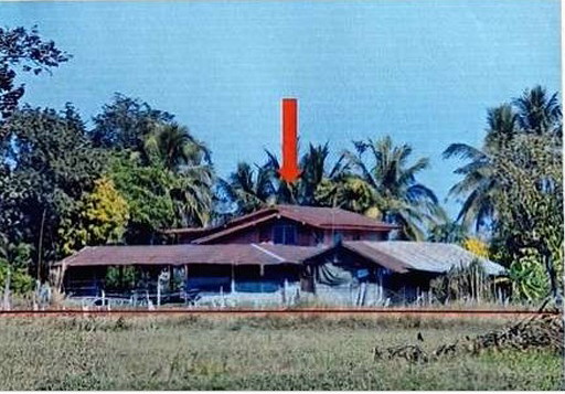ขายทอดตลาด ที่ดินพร้อมสิ่งปลูกสร้าง ต.นาโพธิ์ อ.พิบูลมังสาหาร จ.อุบลราชธานี