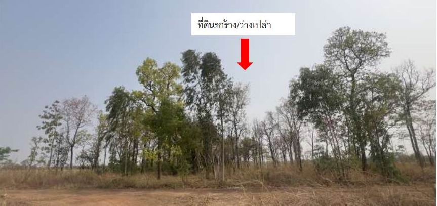 ขายทอดตลาด ที่ดินว่างเปล่า ต.บ้านชัย อ.บ้านดุง จ.อุดรธานี