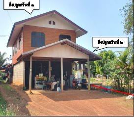 ขายทอดตลาด ที่ดินพร้อมสิ่งปลูกสร้าง ต.บ้านจันทน์ อ.บ้านดุง จ.อุดรธานี