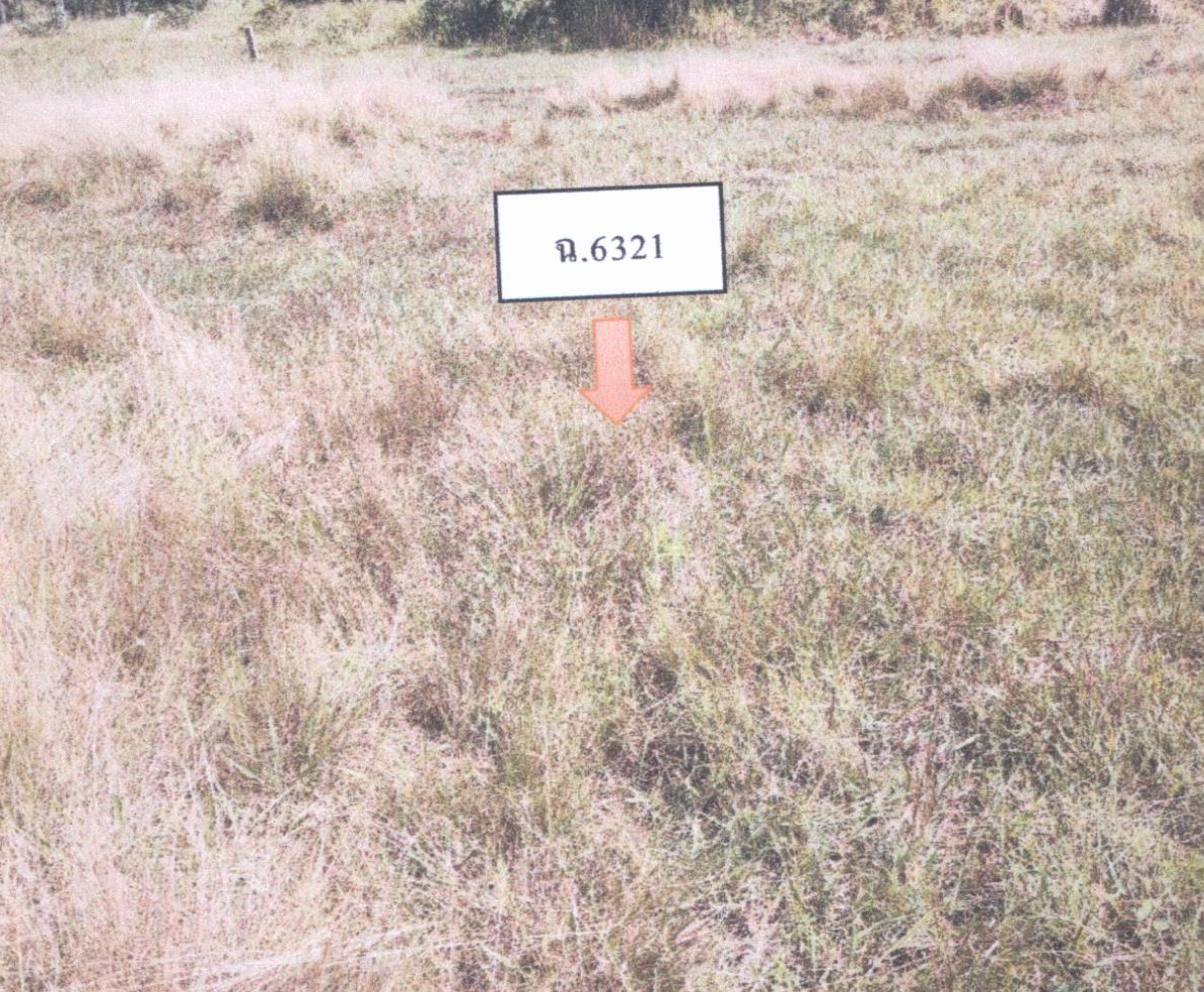 ขายทอดตลาด ที่ดินว่างเปล่า ต.แก่งโดม อ.สว่างวีระวงศ์ จ.อุบลราชธานี