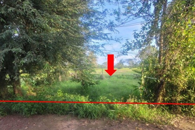 ขายทอดตลาด ที่ดินว่างเปล่า ต.โพธิ์ไทร อ.พิบูลมังสาหาร จ.อุบลราชธานี