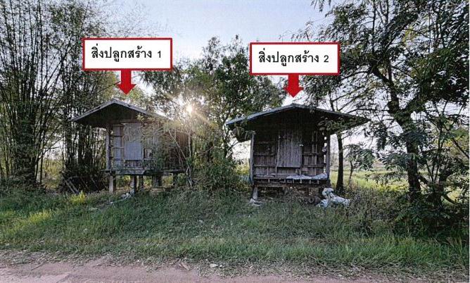 ขายทอดตลาด ที่ดินพร้อมสิ่งปลูกสร้าง ต.นาชุมแสง อ.ทุ่งฝน จ.อุดรธานี