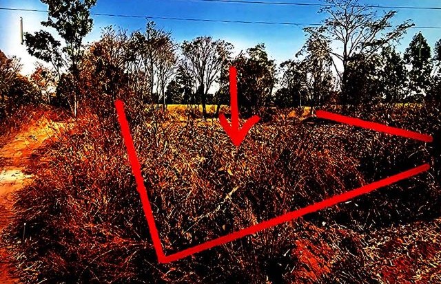 ขายทอดตลาด ที่ดินว่างเปล่า ต.หนองไผ่ อ.เมืองอุดรธานี จ.อุดรธานี