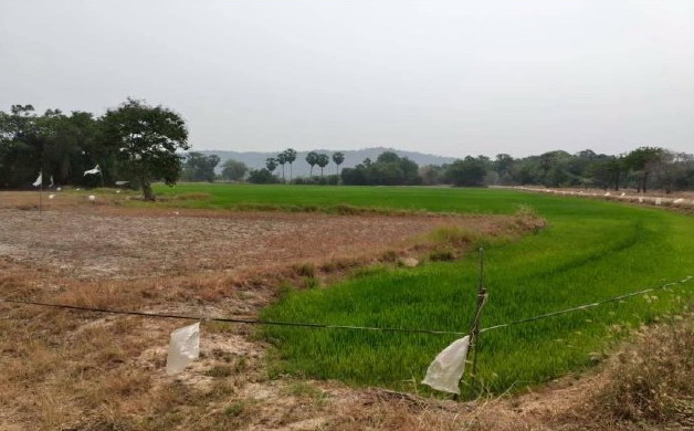 ขายทอดตลาด ที่ดินว่างเปล่า จ.อุทัยธานี