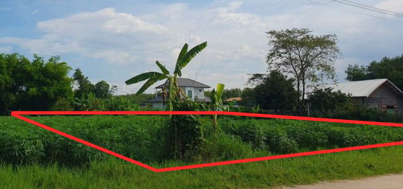ขายทอดตลาด ที่ดินว่างเปล่า ต.สร้างก่อ อ.กุดจับ จ.อุดรธานี