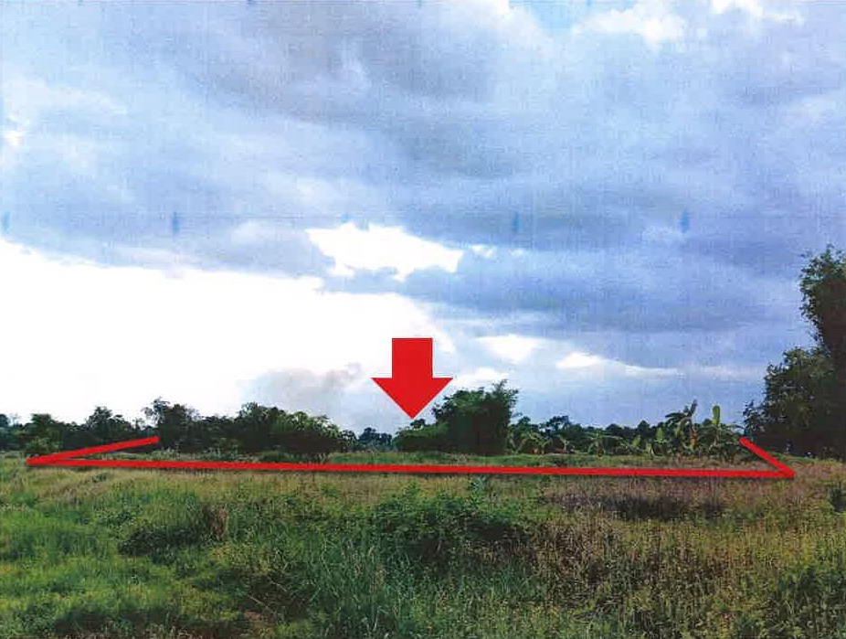 ขายทอดตลาด ที่ดินว่างเปล่า ต.ทัพทัน อ.ทัพทัน จ.อุทัยธานี