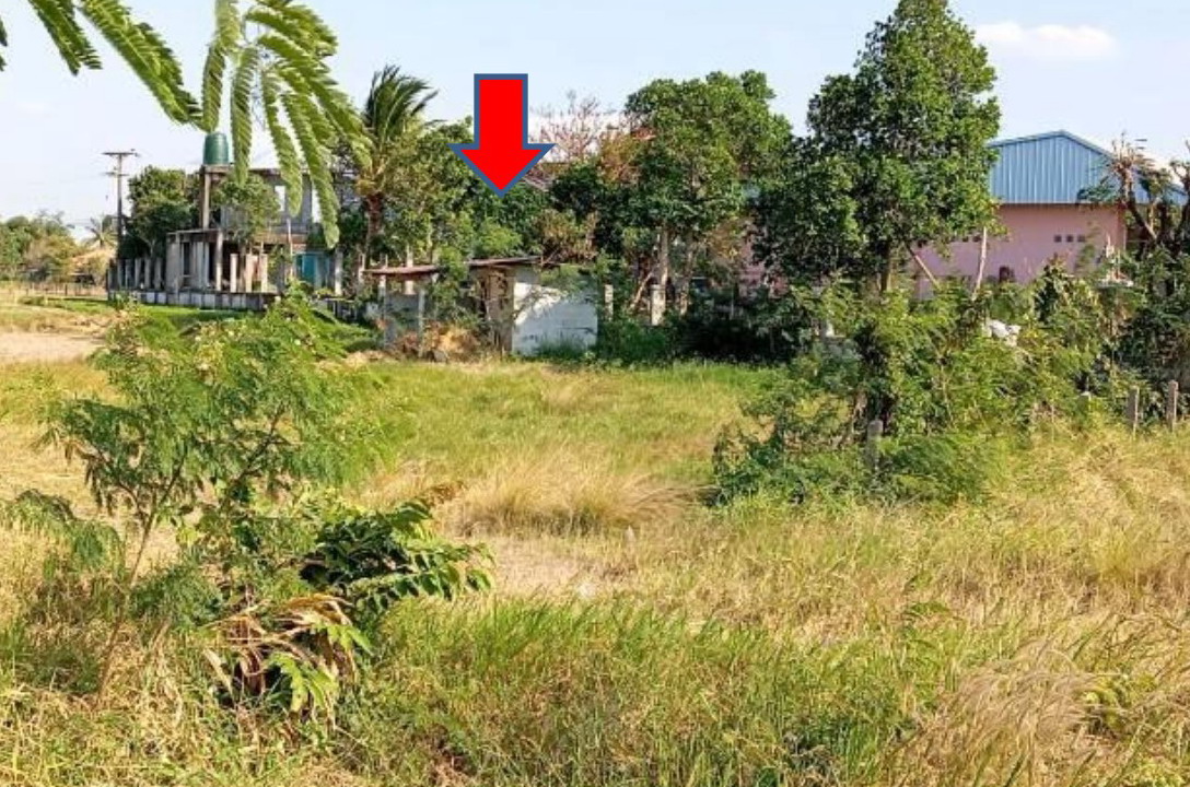 ขายทอดตลาด ที่ดินพร้อมสิ่งปลูกสร้าง ต.ขี้เหล็ก อ.เมืองอุบลราชธานี จ.อุบลราชธานี
